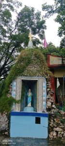 IMG-20250108-WA0011(1)