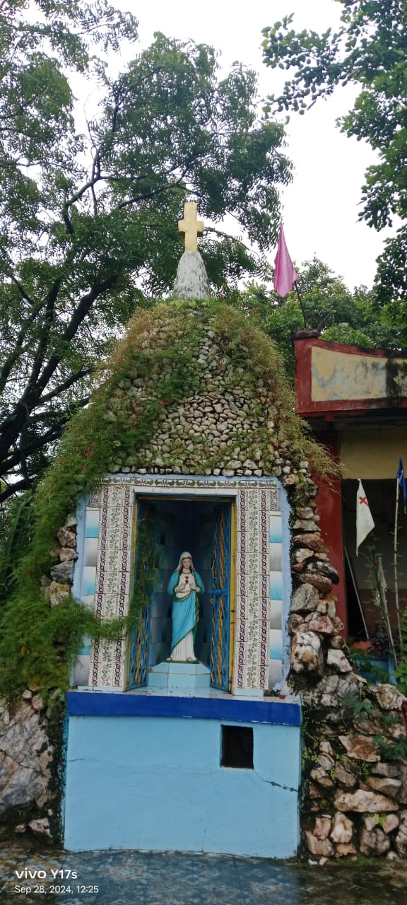 IMG-20250108-WA0011(1)