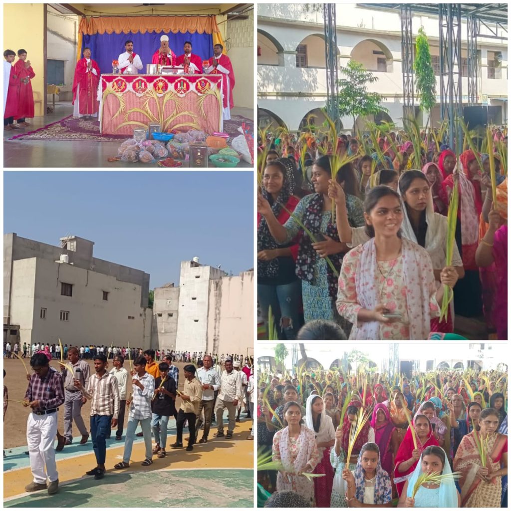 IMG-20250413-WA0062(1)